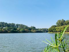 -南国桃园旅游度假区