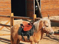 -茅山东方盐湖城景区