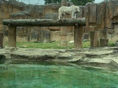 -杭州野生动物世界