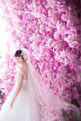 点击看大图 -太郎花子婚纱摄影艺术中心