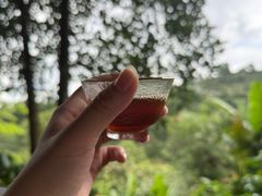 -正宗杨记普洱酸醋米线(总店)