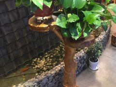 -滇香肴·云南菜蒸汽石锅鱼(云南北路店)