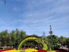 -大兴滨河森林公园