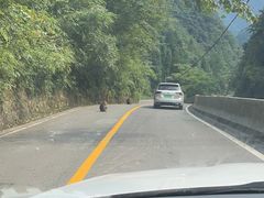 -西岭雪山大飞水景区