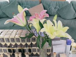 -雅曼妮spa美容养生