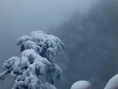 -塔云山