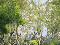 -北山街历史文化街区