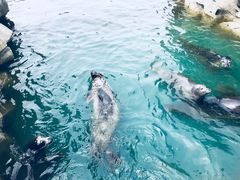 -华夏文旅海洋公园