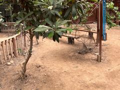 -呀路古热带植物园