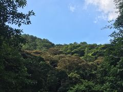 -广州市石门国家森林公园