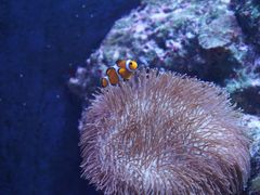 -成都浩海立方海洋公园