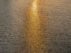 -福建鲤鱼洲酒店