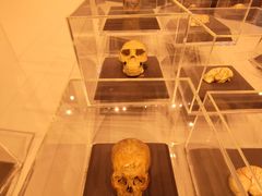 -北京周口店北京人遗址博物馆