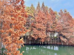 -厦门园林博览苑