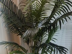 -岚魅儿·洗头头疗·按摩SPA(金光华店)