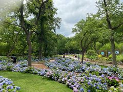 -上海共青森林公园