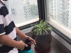 -新湖明珠城