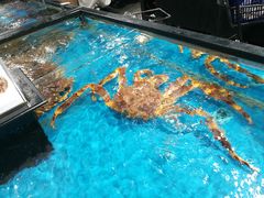 -盒马鲜生(曜一城店)