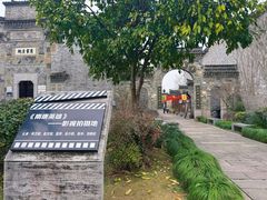 -西溪国家湿地公园