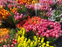 -循礼门鲜花花市(武汉循礼门店)