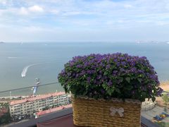 -烟台百纳瑞汀酒店