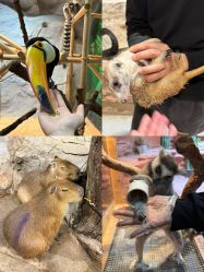 -Zoolung Zoolung动物主题公园(海信广场店)