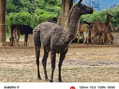 -杭州野生动物世界