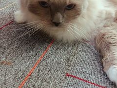 -零纪元VR体验馆·桌游(黄浦店)