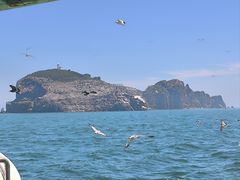 -海驴岛(荣成市)