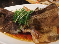 清蒸海石斑-达叔香味海鲜(海棠68环球美食街店)