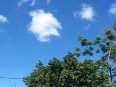 -台山黑沙湾海浴场