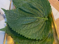 -杨记齐齐哈尔烤肉(总店)