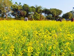 -长洲岛都市农业公园