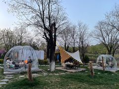 -Supine Bistro溯泮餐厅