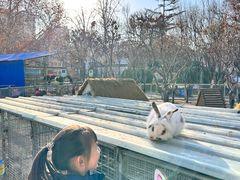 -保定市动物园