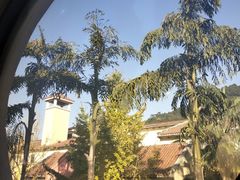 -重庆南山海昌汤都