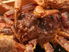 -鳥喜Toriki怀石烧鸟料理