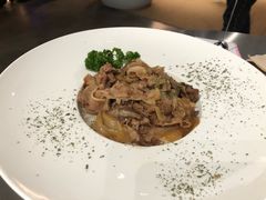 -more than meow吴止猫主题餐厅(承德 中船汇店)