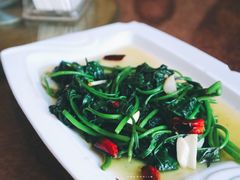 红苕尖-大笮风(体育馆总店)