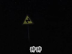 -东白山