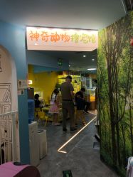 点击看大图 -神奇动物撸宠馆·羊驼·小浣熊·异宠(豫园店)