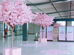 -黄浦路(地铁站)