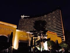 -拉斯维加斯永利酒店