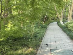 -杭州西子湖四季酒店-WL BISTRO西湖餐厅(灵隐路店)