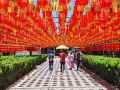 -大槐树寻根祭祖园