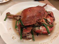 -华盛丰温州大排档(东三环南路店)