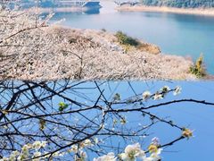 -广州市流溪河国家森林公园