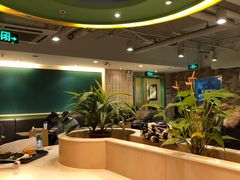 大堂-水平有限广西米粉·广西风味集(五道口店)