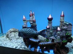 -北戴河圣蓝海洋公园