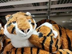 -宜家家居(哈尔滨商场店)